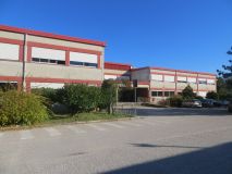 pianciani .JPG
